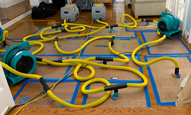 Professional Basement Flood Cleanup technician working in Toledo, WA
